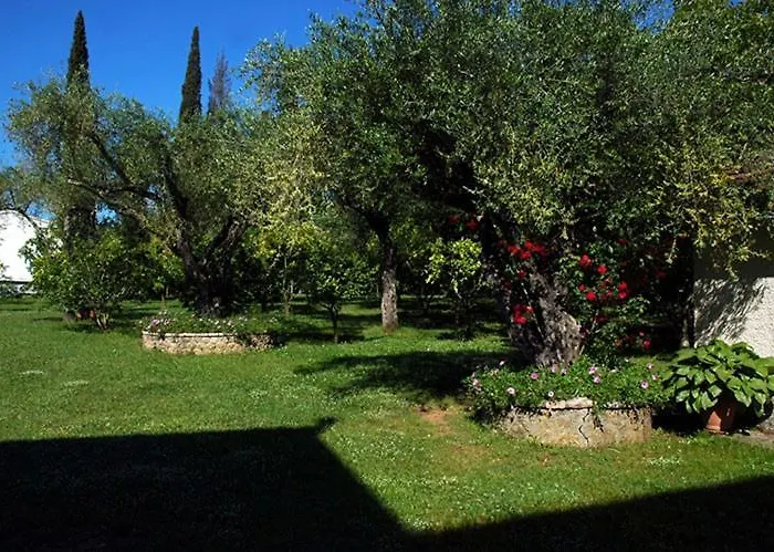 Omirico * Gouvia